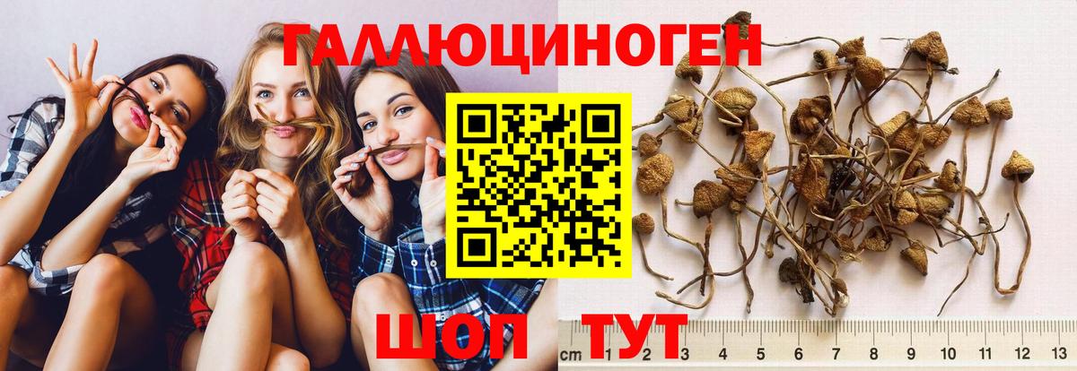 Галлюциногенные грибы мицелий Мариинск